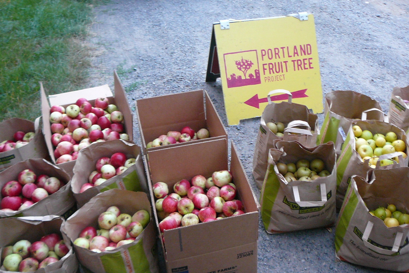 Photo 4 from Portland Fruit Tree Project
